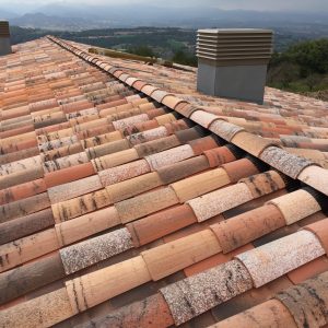 Teja Curva Cellar®  50x21