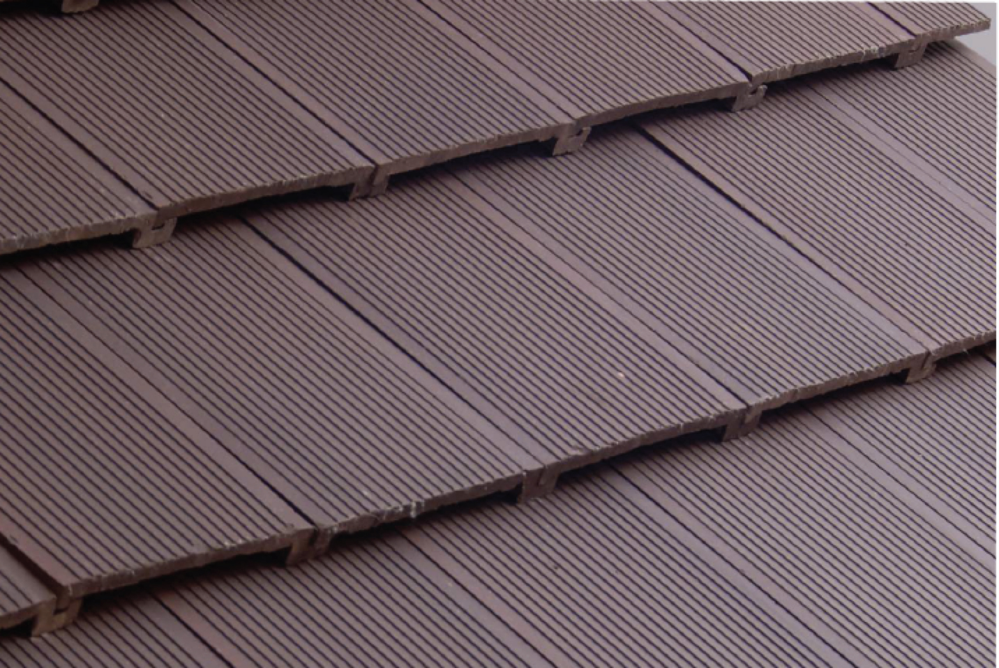 Chocolate Casablanca