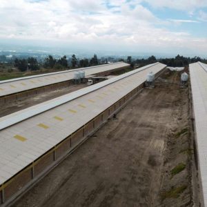 Lámina de
Fibrocemento