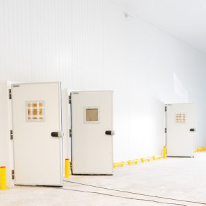 Puerta Frigorífica Pivotante